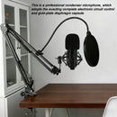 BM800 USB Condenser Microphone for PC Studio Microphone Kit Singing Streaming