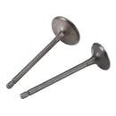 Head Intake Exhaust Valves Seals For CG 250cc Pit Bike Dirt Bike ATV Quad Bashan