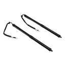 2018-2021 For Lexus NX 300h Premium Left + Right Tailgate Gas Struts 6892079020