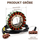 Alternator Stator Regulator w/Gasket For Aprilia RSV1000 Tuono Factory / R 06-09