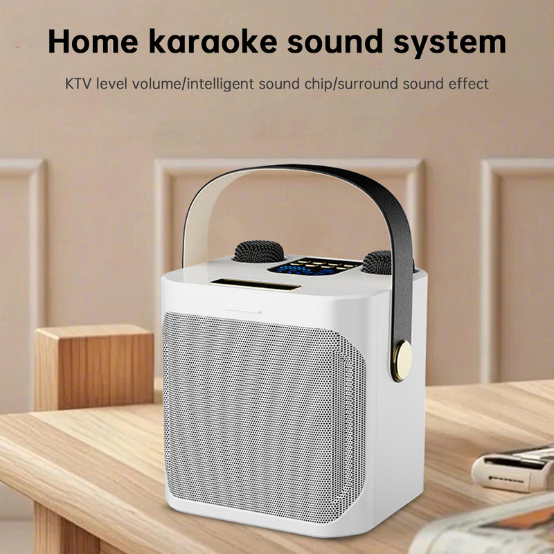 Wireless Bluetooth Speaker Dual Microphone Karaoke Home Theater All-in-One Audio