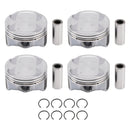 G4NB 1.8L Engine Overhaul Rebuilding Kit for Hyundai Elantra Mistra Kia Forte