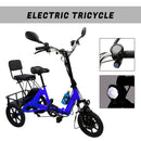 Three Wheel Electric Tricycle for Adults 3 Wheel Motorized Folding E-Bike