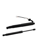 2021-2023 Tesla Model 3 2PCS Power Tailgate Power Lift Support Struthz