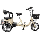 400W 48V 12A Elder Electric folding trike 3 wheel e-bike with Rear Seat