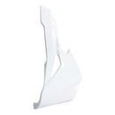 Kawasaki Ninja ZX-25R ZX-4R ZX-4RR 2020-2021 Fairing Injection Molding Unpainted