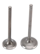 Intake Valve & Exhaust Valve For Yamaha TT-R 225 TTR 230 99-25 XT 225 92-98