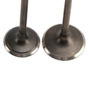 Intake Exhaust Valve Kit For LIFAN ZONGSHEN CG250 250cc Go Kart Dirt Bike ATV