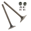 Intake Exhaust Valve Kit For LIFAN ZONGSHEN CG250 250cc Go Kart Dirt Bike ATV