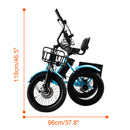 Electric Tricycle E-Trike with IPX7 Display 18*3.0 48V 13AH 350W (peak 525W)