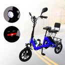 Three Wheel Electric Tricycle for Adults 3 Wheel Motorized Folding E-Bike