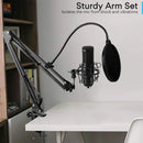 BM800 USB Condenser Microphone for PC Studio Microphone Kit Singing Streaming