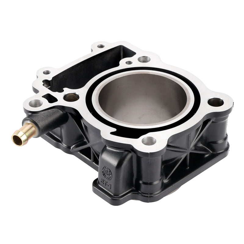 250cc Cylinder Piston Kit for Bajaj Pulsar 200 Ns Ns200 Rs200 BS3 BS4 BS6 12-23