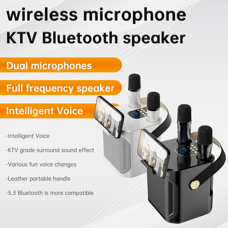 Wireless Bluetooth Speaker Dual Microphone Karaoke Home Theater All-in-One Audio