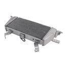 2020-2025 BMW S1000XR Radiator Cooler Cooling
