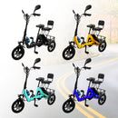 Three Wheel Electric Tricycle for Adults 3 Wheel Motorized Folding E-Bike