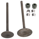 Intake Exhaust Valve Kit For LIFAN ZONGSHEN CG250 250cc Go Kart Dirt Bike ATV