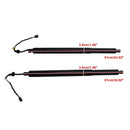 2019-2020 Hyundai Santa Fe 2PCS Rear Tailgate Power Lift Support 81831S1100