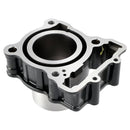 2021-2023 for Adventure 250 Cylinder Piston Gaskets Kit 93730036000