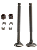 69mm Intake Exhaust Valve Kit For GY6 139QMB Moped 50cc 80cc Sunl Baja Taotao