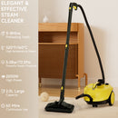 2000W High Pressure Steam Cleaner Household Car Steam Cleaner Cleaning Machine