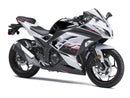 Injection Fairing Kit Bodywork fit For Kawasaki EX300 Ninja300R 2013-2024