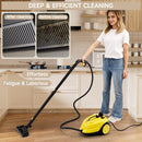 2000W High Pressure Steam Cleaner Household Car Steam Cleaner Cleaning Machine