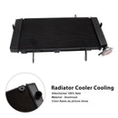 2020-2025 Suzuki V-Strom 1050 DL1050 Radiator Cooler Cooling