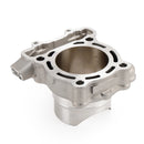 Kawasaki KX250F 04-08 & RMZ250 04-06 Cylinder Piston Top End Rebuild Kit Generic