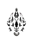2020-2022 for Street Triple 765 R/RS Injection Bodywork Fairing Kit