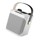 Wireless Bluetooth Speaker Dual Microphone Karaoke Home Theater All-in-One Audio