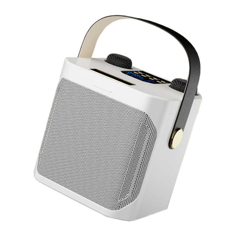 Wireless Bluetooth Speaker Dual Microphone Karaoke Home Theater All-in-One Audio
