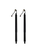 2019-2020 Hyundai Santa Fe 2PCS Rear Tailgate Power Lift Support 81831S1100