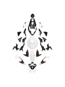 Injection Bodywork Fairing Kit for Street Triple 765 R/RS 2023-2025