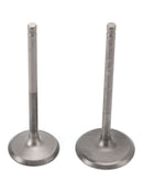 Intake & Exhaust Valve For Yamaha 200 225 250 HP 11-19 6P2-12111-10 6P2-12121-10
