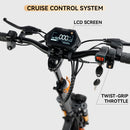 1000W 20ah  electric scooter for adult With large display screen