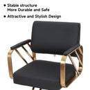 Makeup Chair Barber Chair Beauty Salon Hair Styling Hairdressing Hairdresser