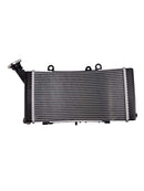 2019-2024 BMW F850GS Radiator Cooler Cooling