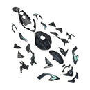 Injection Bodywork Fairing Kit for Street Triple 765 R/RS 2023-2025