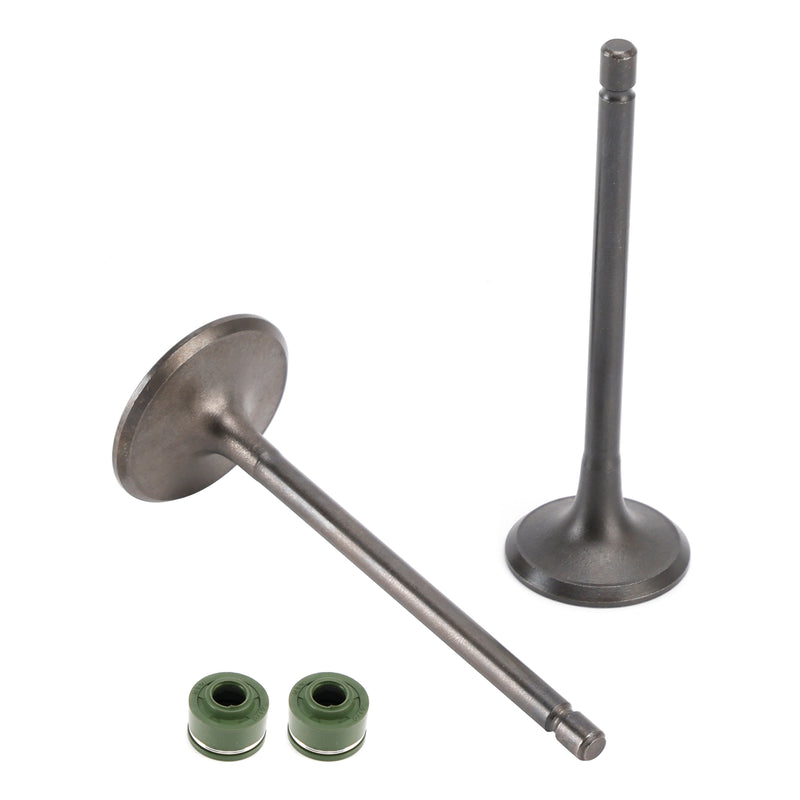 Head Intake Exhaust Valves Seals For CG 250cc Pit Bike Dirt Bike ATV Quad Bashan
