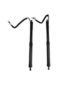 2018-2022 LEXUS RX RX350L RX450HL 2PCS Rear Power Hatch Lift Support 6892048061 6892048060