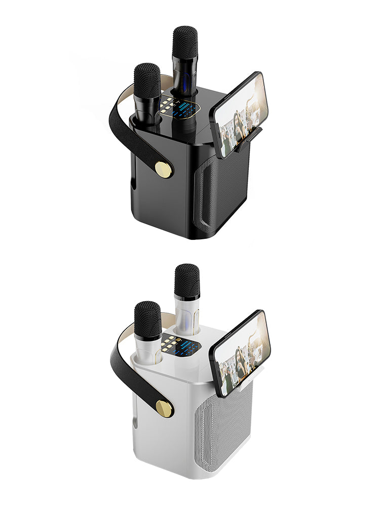 Wireless Bluetooth Speaker Dual Microphone Karaoke Home Theater All-in-One Audio