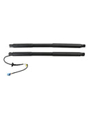 2013-2015 Mercedes Benz ML-Class GLE-Class W166 2PCS Rear Spindle Gas Strut Spring Auto Tailgate Boot 1668901130 1669802164