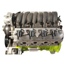 5.3L LS Truck Side Bolt Coil Brackets Mount Valve Cover 19005218 D585 LSX Swap