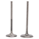 Intake & Exhaust Valve For Yamaha 200 225 250 HP 11-19 6P2-12111-10 6P2-12121-10