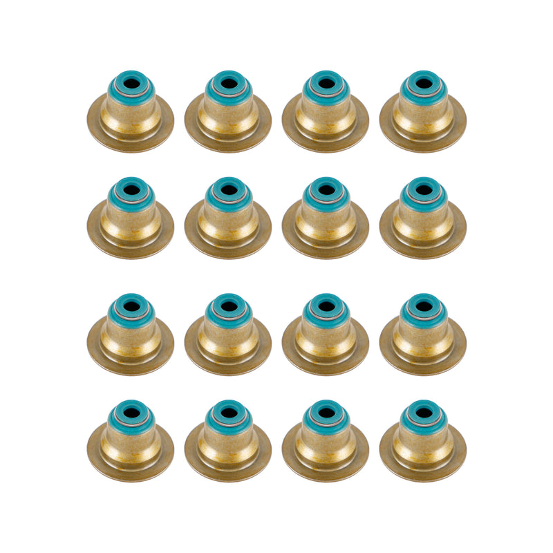 Chevrolet Equinox 2.4L 2010-2013 Head Gasket Bolts & Intake Exhaust Valves