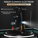 1000W 20ah  electric scooter for adult With large display screen