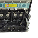 2005 2006 2007 2008 2009 2010 2011 KIA RIO MK2 1.4L Brand New Engine Assembly Long Engine Block G4EE