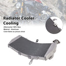 2017-2020 DUCATI SuperSport 936 Radiator Cooler Cooling