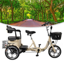 400W 48V 12A Elder Electric folding trike 3 wheel e-bike with Rear Seat Cream